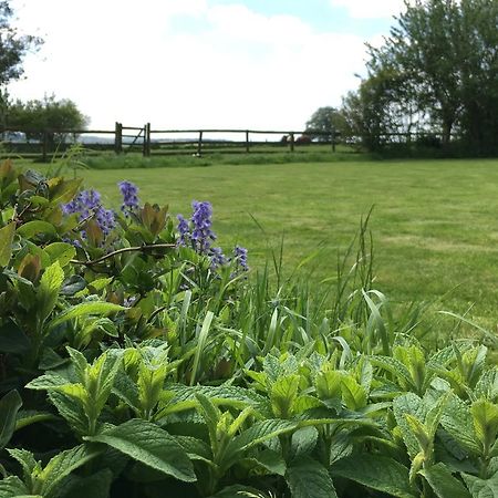 Cotswolds Mine Hill House Bed & Breakfast Lower Brailes Eksteriør bilde