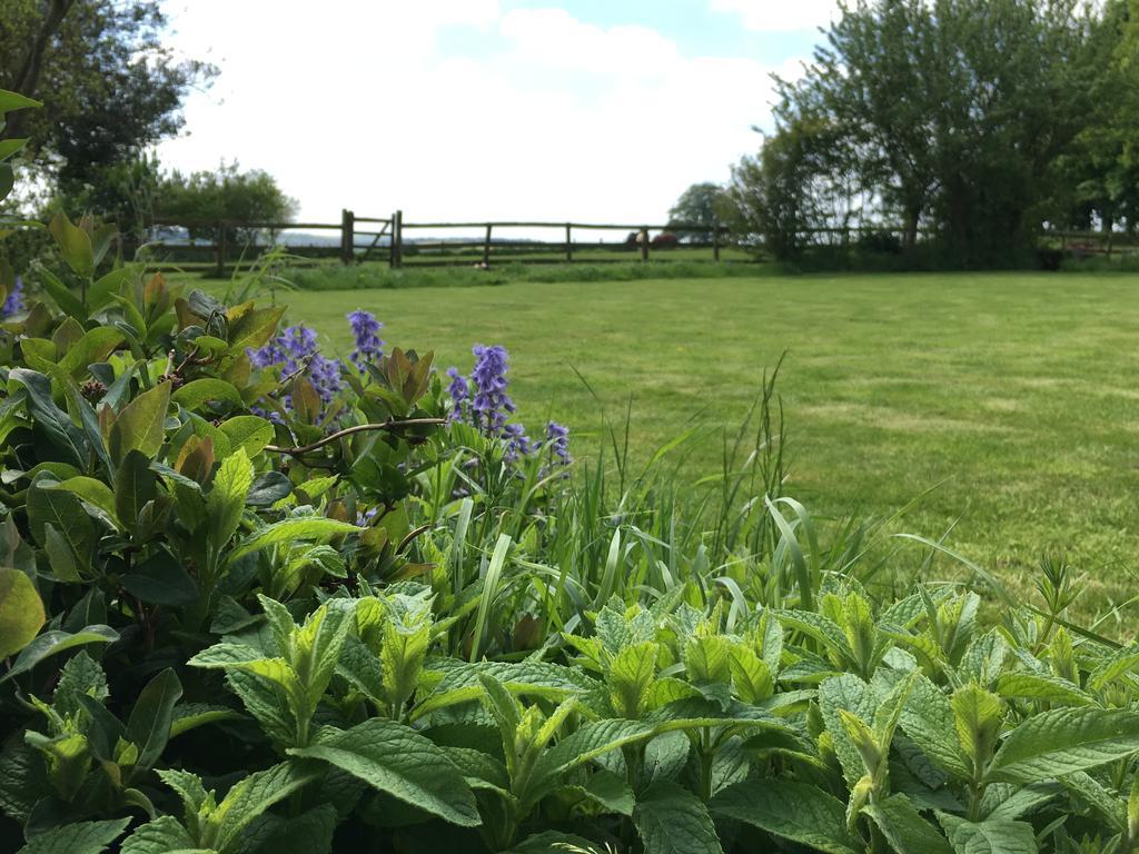 Cotswolds Mine Hill House Bed & Breakfast Lower Brailes Eksteriør bilde