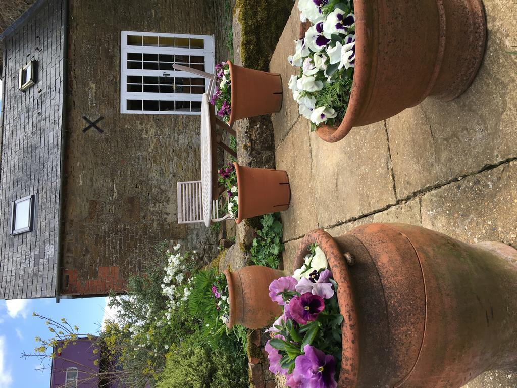 Cotswolds Mine Hill House Bed & Breakfast Lower Brailes Eksteriør bilde