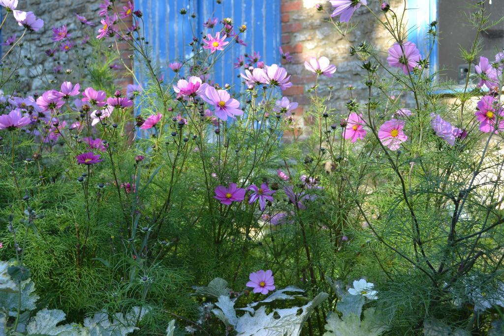 Cotswolds Mine Hill House Bed & Breakfast Lower Brailes Eksteriør bilde